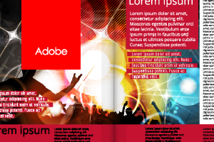 Adobe InDesign Online Training Course