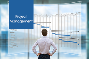 Project Management Professional 6th Edition Online Training